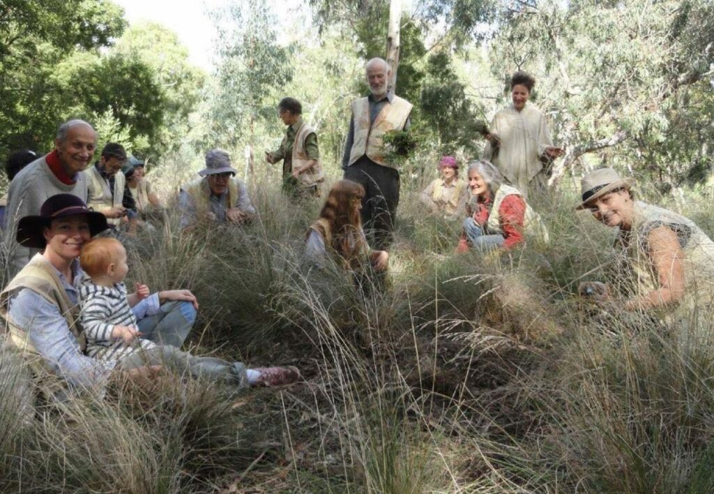 A group of people sit amongst grasses and shrubbery while weeding