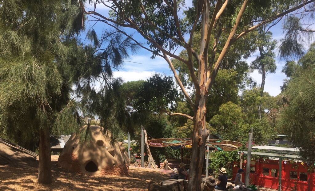 An area of CERES with part of the Terra Wonder playspace shown amongst gum and casurina trees
