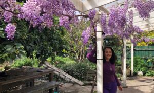 Women standing under a backyard pegola with purple wisteria
