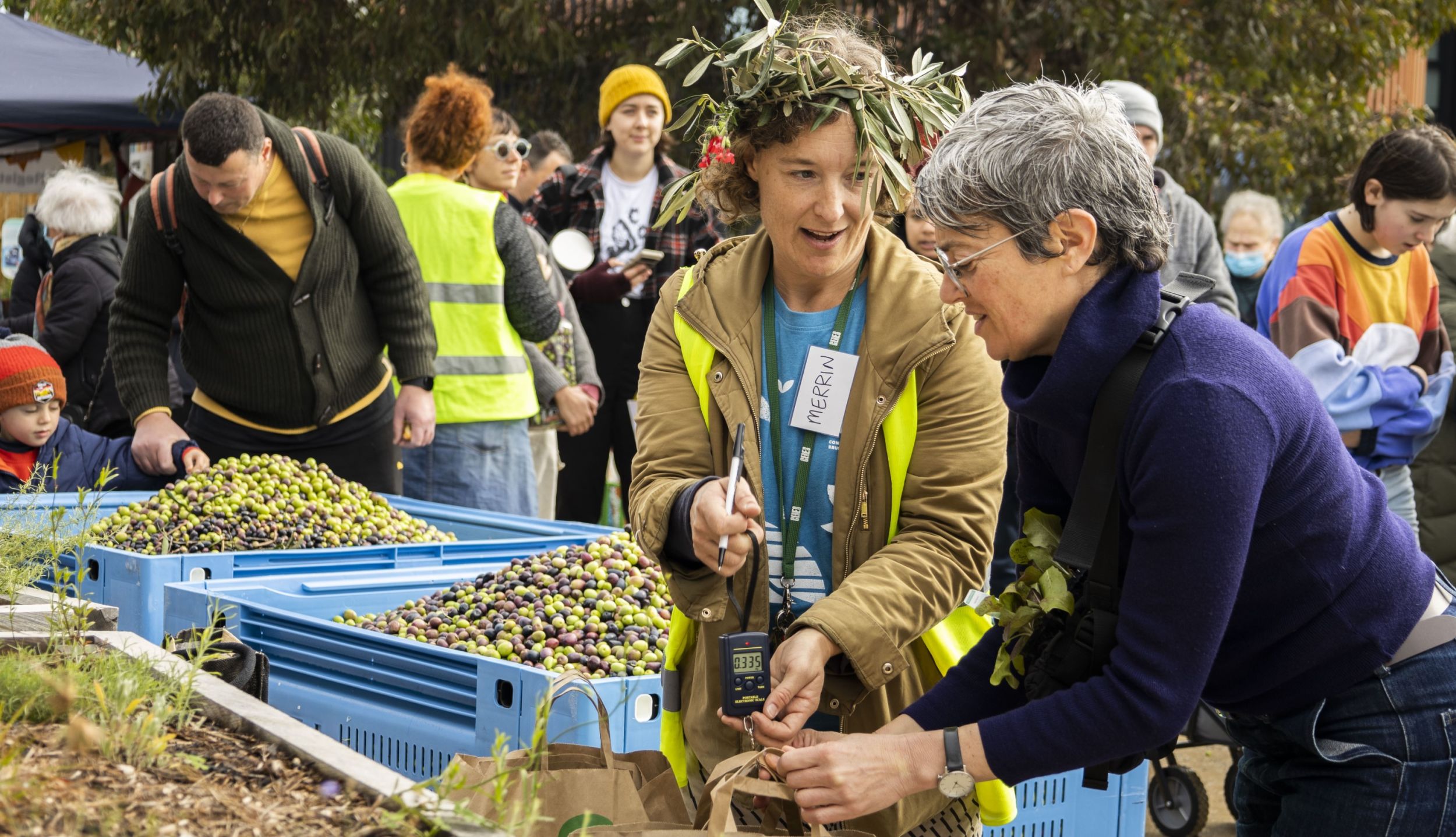 Two people weighing a bag of olives surrounded by crates of olives.