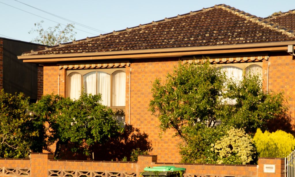 Photo of light brown brick house with trees near windows.