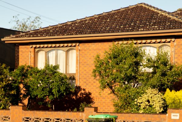 Photo of light brown brick house with trees near windows.