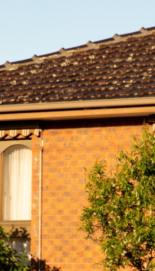 Photo of light brown brick house with trees near windows.