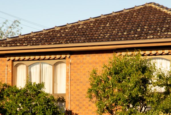 Photo of light brown brick house with trees near windows.