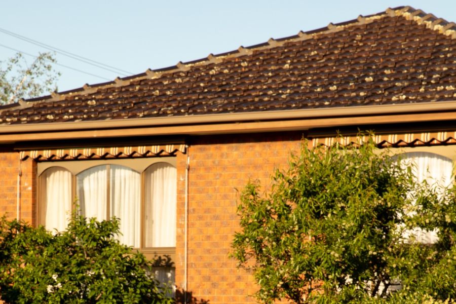 Photo of light brown brick house with trees near windows.