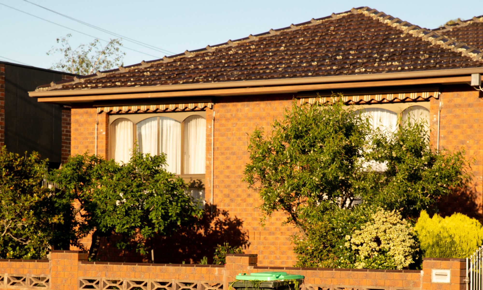 Photo of light brown brick house with trees near windows.
