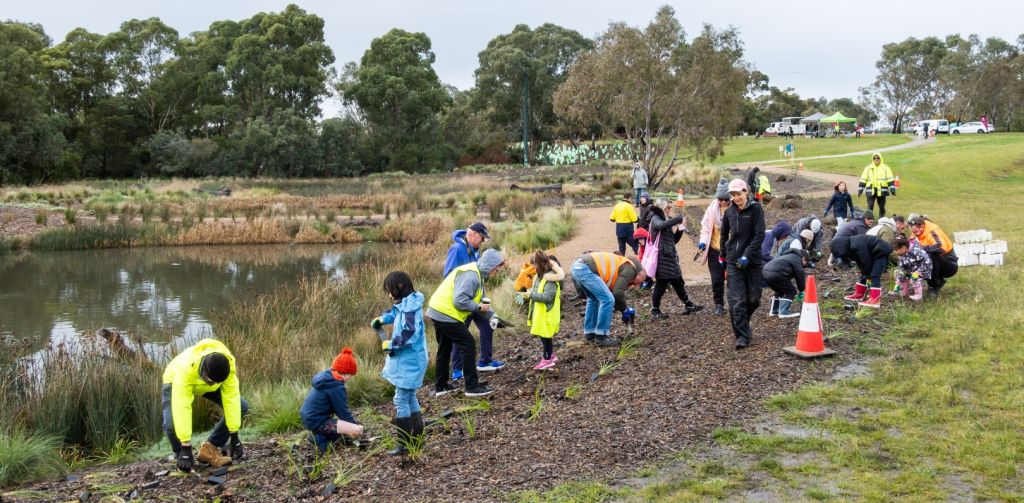 Families planting plants around a small lake