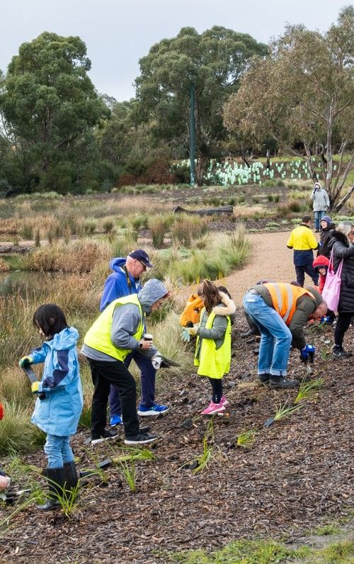 Families planting plants around a small lake