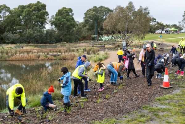 Families planting plants around a small lake
