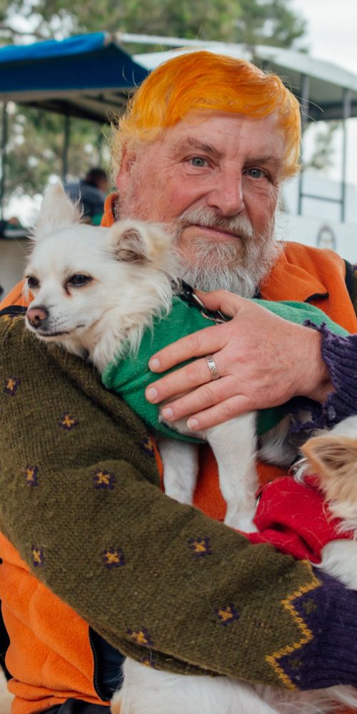 Man with orange hair sitting on a park bench with two little dogs