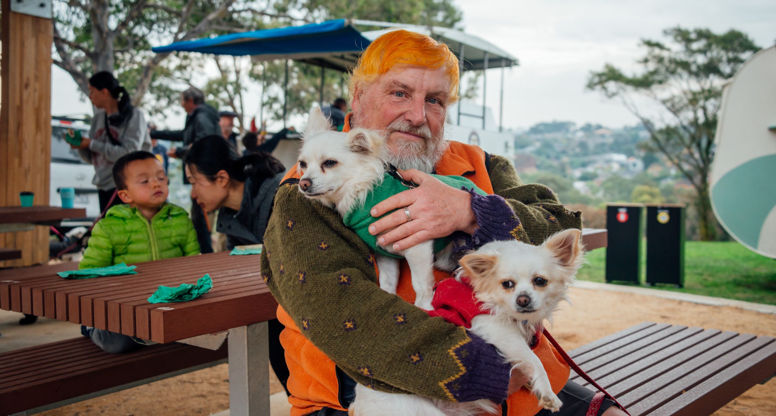 Man with orange hair sitting on a park bench with two little dogs