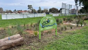 Photo of parkland with lots of plants in front of a football oval. Signage with words The Swale.