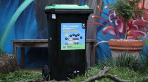 Photo of a wheelie bin with a green lid with a sticker with text "You are passing another fully electric home".