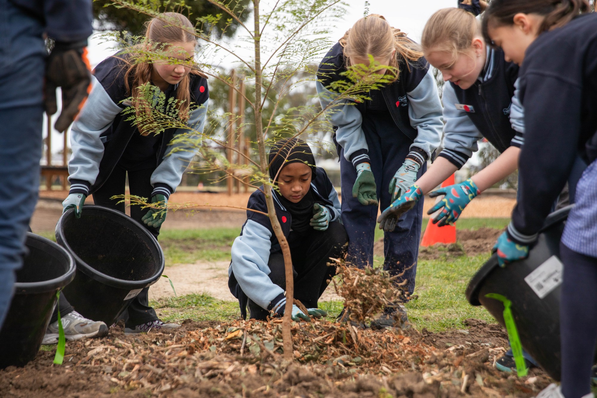 Group of students standing around a tree and planting mulch